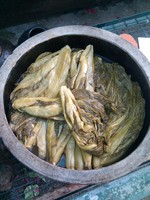 20100215Farm Visit57.jpg